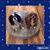Suzanne Pater's profile image