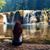 Liana Laughlin's profile image