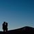 Stacey DePalma's profile image