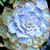 Rachel Alderfer's profile image