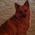 Willow Wind's profile image