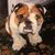 John Rayner's profile image