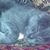 Josephine Graham's profile image