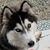 Judy Cur Kat's profile image