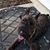 Michelle McMullin Schnetzler's profile image