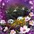 Nel N Suzette Martinez's profile image