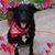 Kim Law Poore's profile image