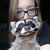 Erickat Kitsune Brechbill's profile image