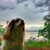 Luanna Miller Dorsett's profile image