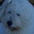 Linda Gunnufson's profile image