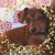 Teresa Wills's profile image