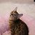 Karen Michalewicz Biggerstaff's profile image