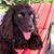 Amy Collins Davenport's profile image