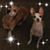 Sonya Isbell's profile image
