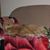 Rose Marie Watt's profile image