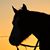 Ashley Moore Kober's profile image