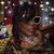 Yolanda Smith's profile image