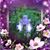 Kimberly Michelle Miller's profile image