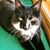 Patty Reese Curtin's profile image
