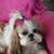 Melissa Houser's profile image