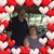 Ed Vennard's profile image