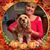 Martha S. Horn's profile image