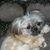 Bonnie Stich's profile image