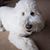 Cheryl Hinman's profile image