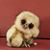 Diana Flack's profile image