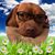 Ziggy Hartman's profile image
