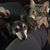 Jennifer Hayes's profile image