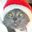 Heather G (Bumper)'s profile image