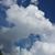 Maureen C Sheleg's profile image
