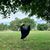 Kelly Orgera Harrington's profile image