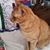 Barbara J Price's profile image