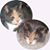 Patricia Ng's profile image