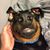 Preston Debain Reeves's profile image