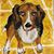 Stella Dickerson Hazen's profile image