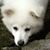 Belem Leithoff's profile image