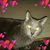 Marie Jenkins's profile image