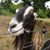 Julie Riggins's profile image
