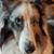 Pattie Wilson Hart's profile image