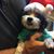 Lisa Shoham Lott's profile image