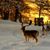 Joann Alexanders's profile image