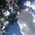 Debbie M Jachim-Scamihorn's profile image