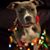 Marsha Longo's profile image