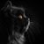 Lee Wristen's profile image