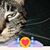 Brenda Hartman's profile image