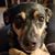 Brandy Reissig's profile image