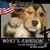 Nick Adams's profile image